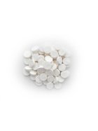 Fortuin Delftsblauw Geschenkdose Wilhelmina Pepermunt Pfefferminze 500g