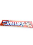 Großes Banner Holland 340x70 cm