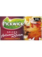 Pickwick Autumn Storm Tee 20 x 2g
