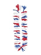 Rot-Wit-Blauw Hawaii-Kette