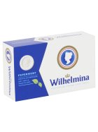 Fortuin Wilhelmina Pepermunt Pfefferminze 100g